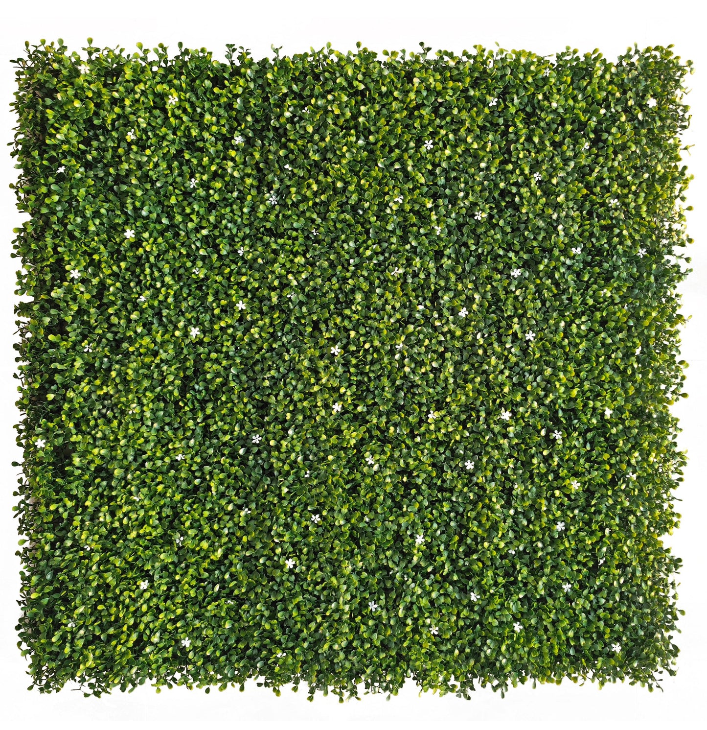 Jardín vertical artificial Boj con Flores Sinder 100x100 cm