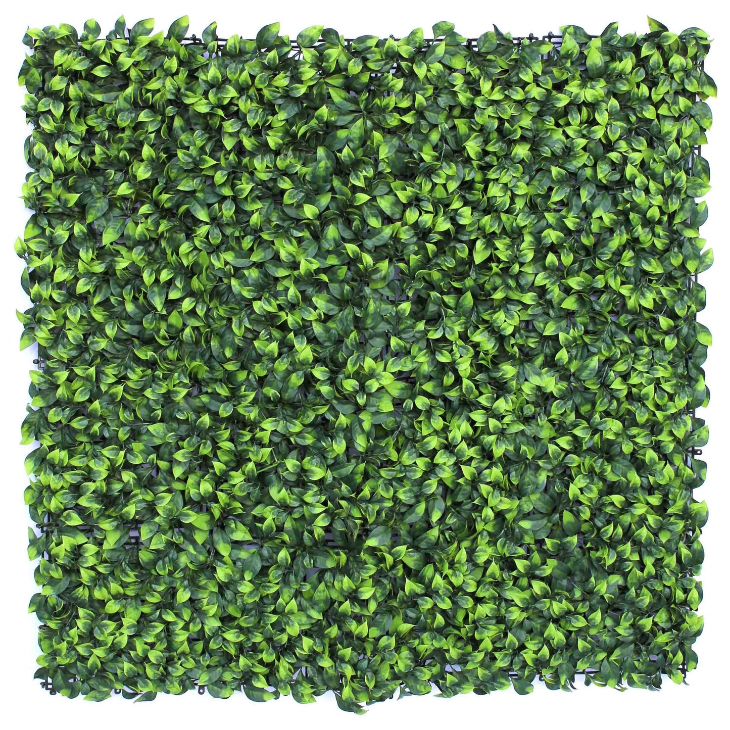 Jardín vertical artificial Laurel Sinder 100x100 cm