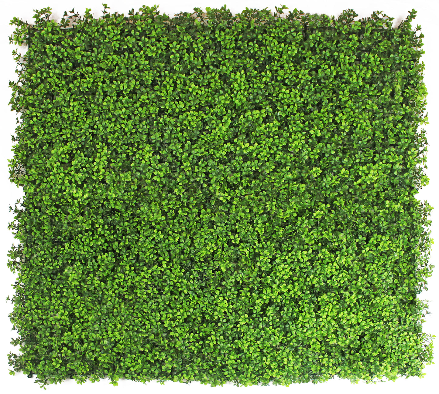 Jardín vertical artificial Trébol Sinder 100x100 cm