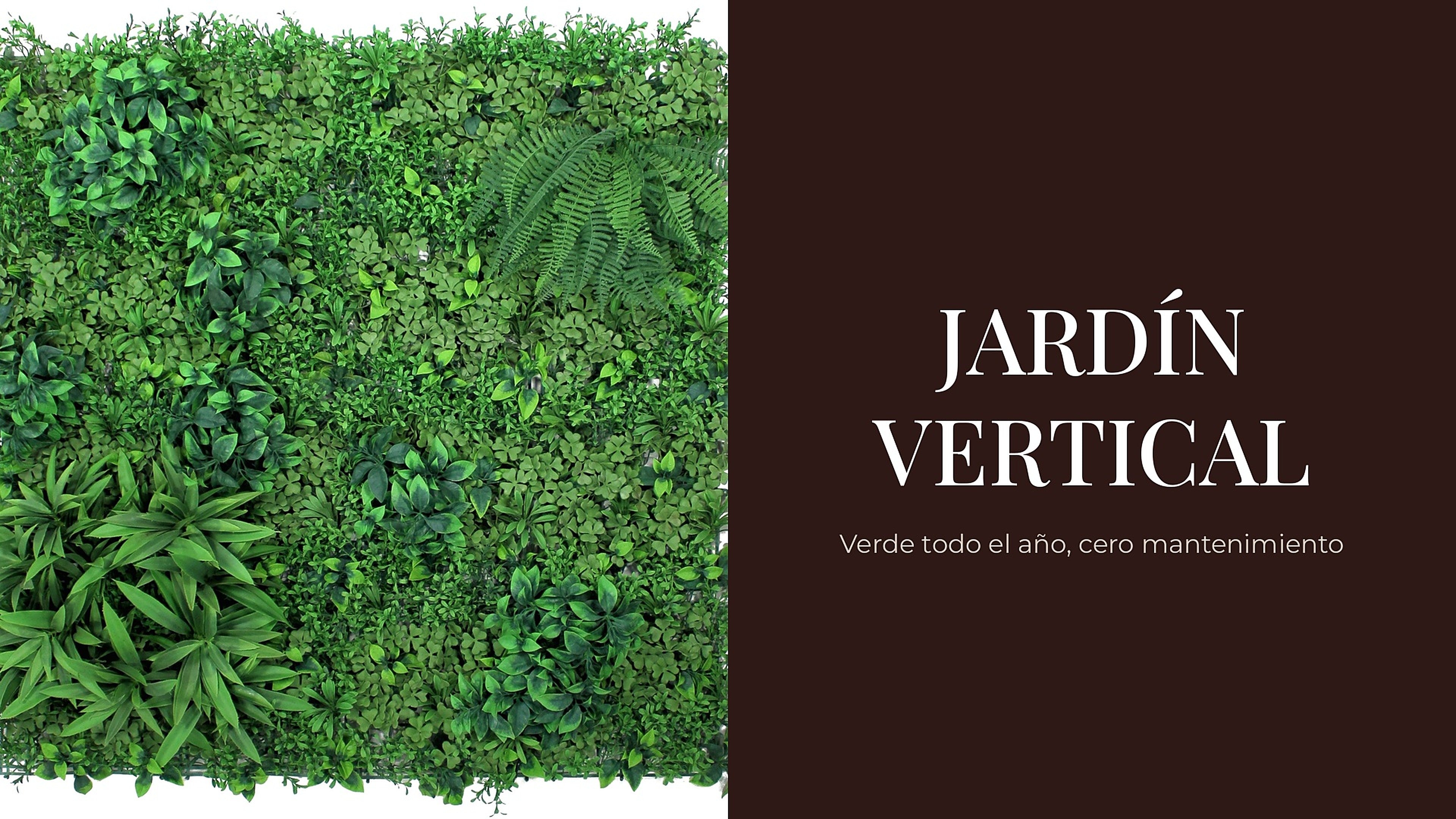 Jardín vertical: verde todo el año, cero mantenimiento