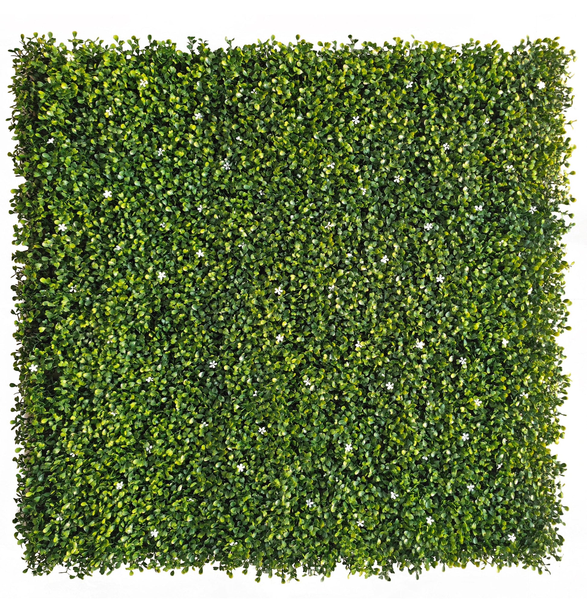 Jardín vertical artificial Boj con Flores Sinder 100x100 cm