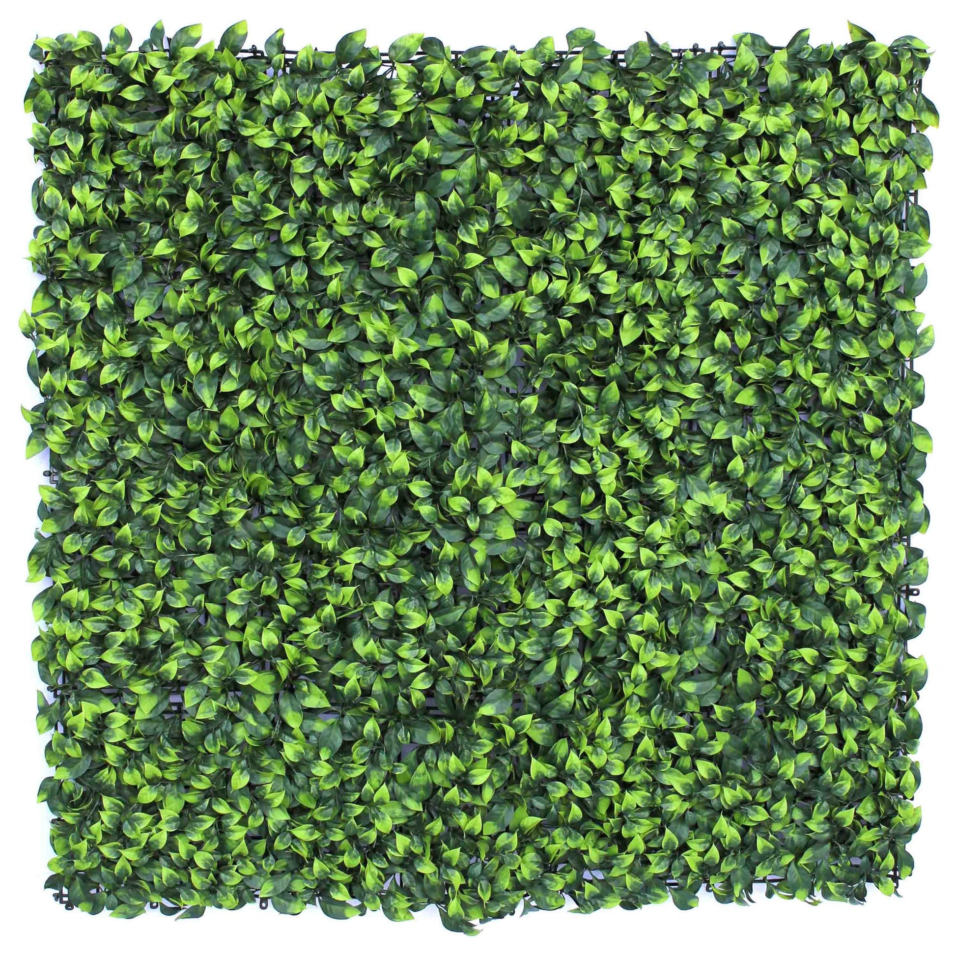 Jardín vertical artificial Laurel Sinder 100x100 cm