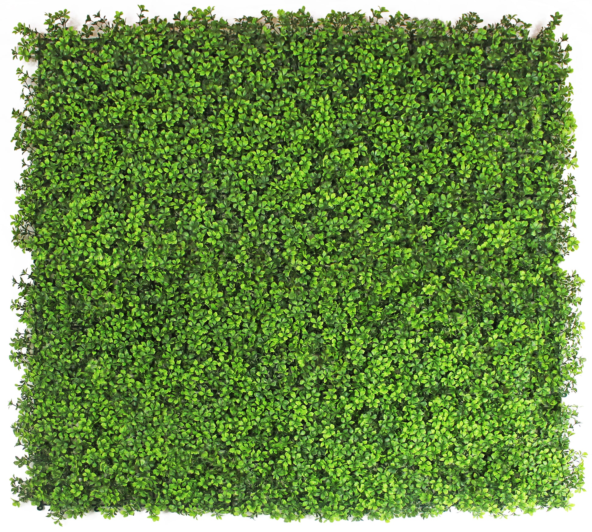 Jardín vertical artificial Trébol Sinder 100x100 cm